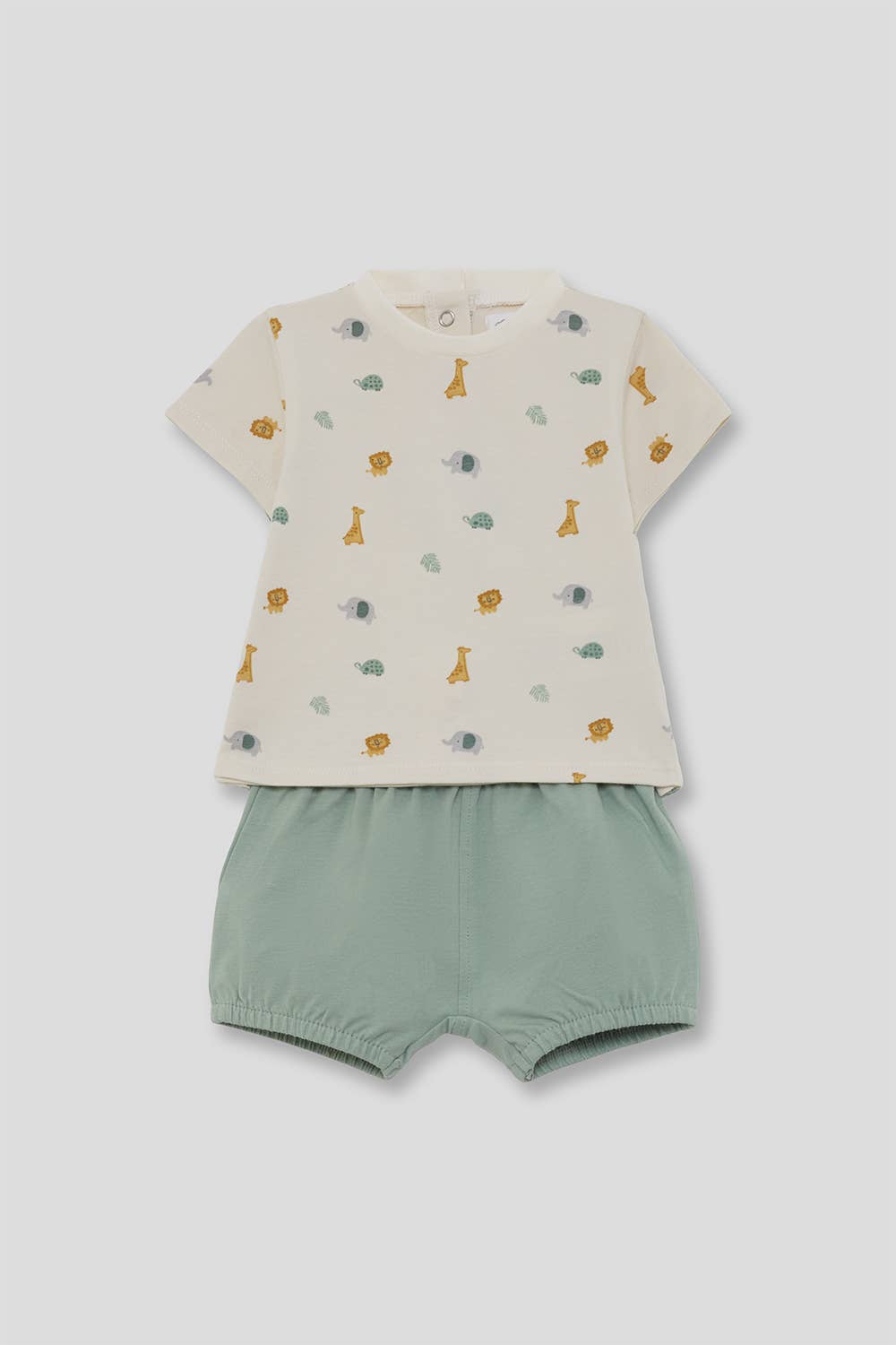 Ensemble vert "Animaux"