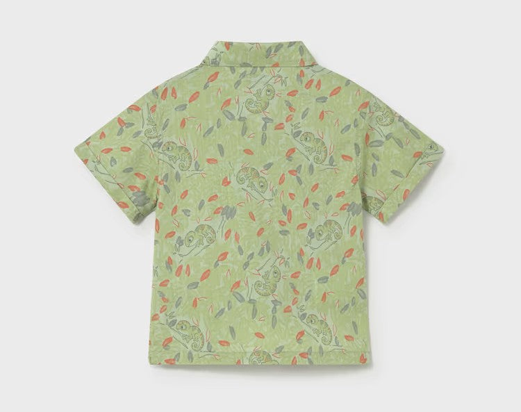 Chemise verte "Caméléon"