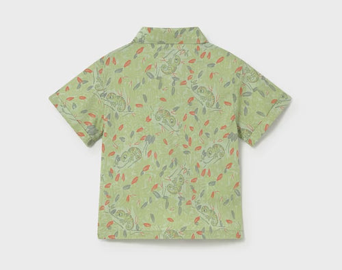 Chemise verte "Caméléon"