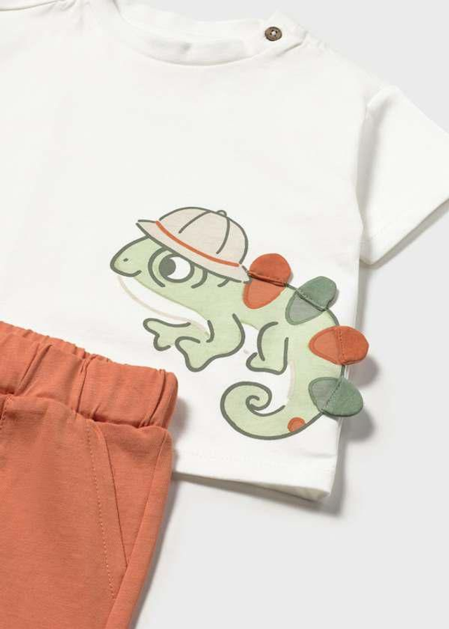 Ensemble "Caméléon"