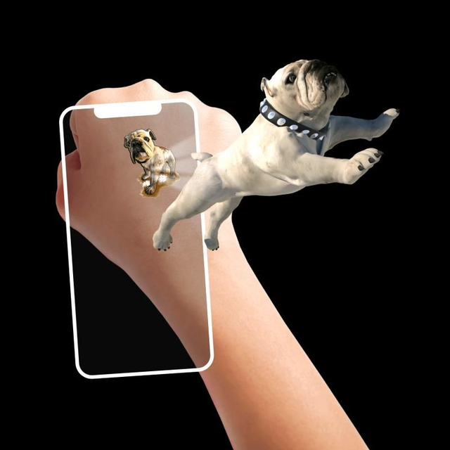 Tattoos "PET PARTY"